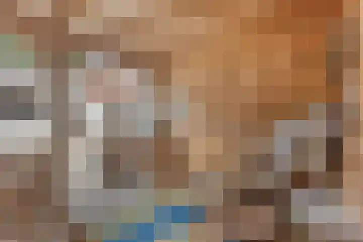 Generaal Maczeklaan 2 c Baarle-Nassau thumbnail 31