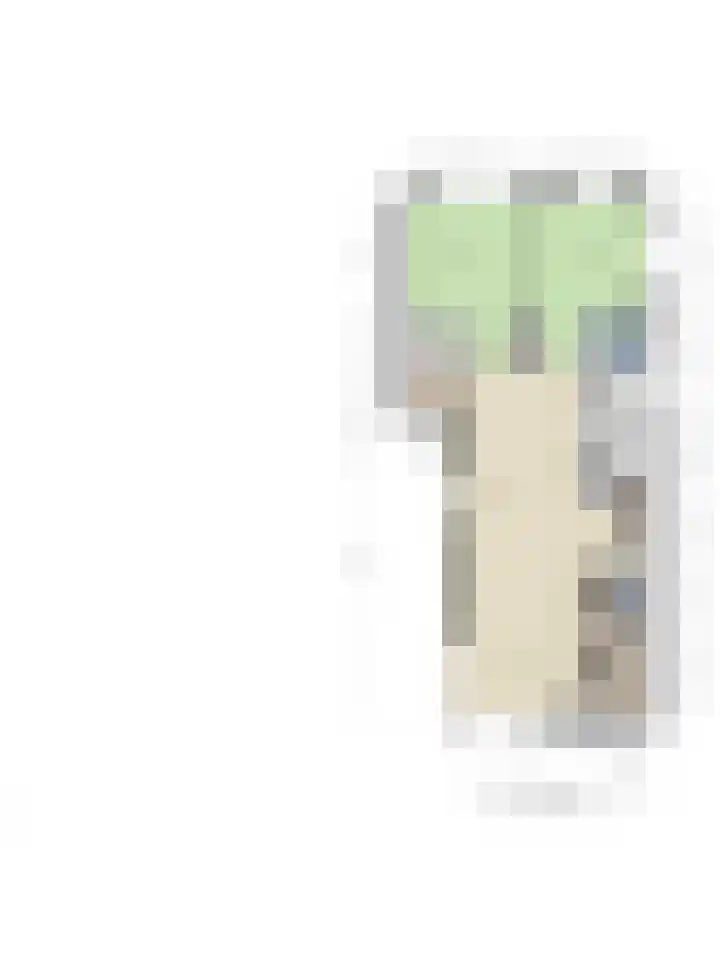 Generaal Maczeklaan 2 c Baarle-Nassau thumbnail 34
