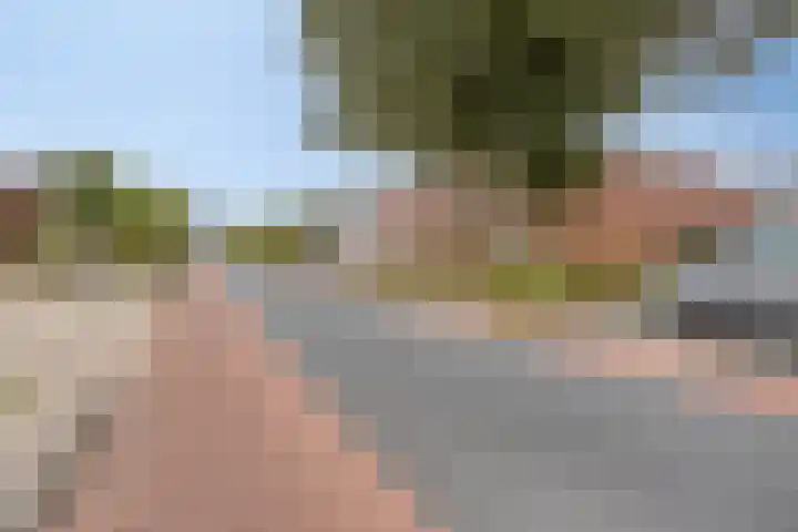 Generaal Maczeklaan 2 c Baarle-Nassau thumbnail 4