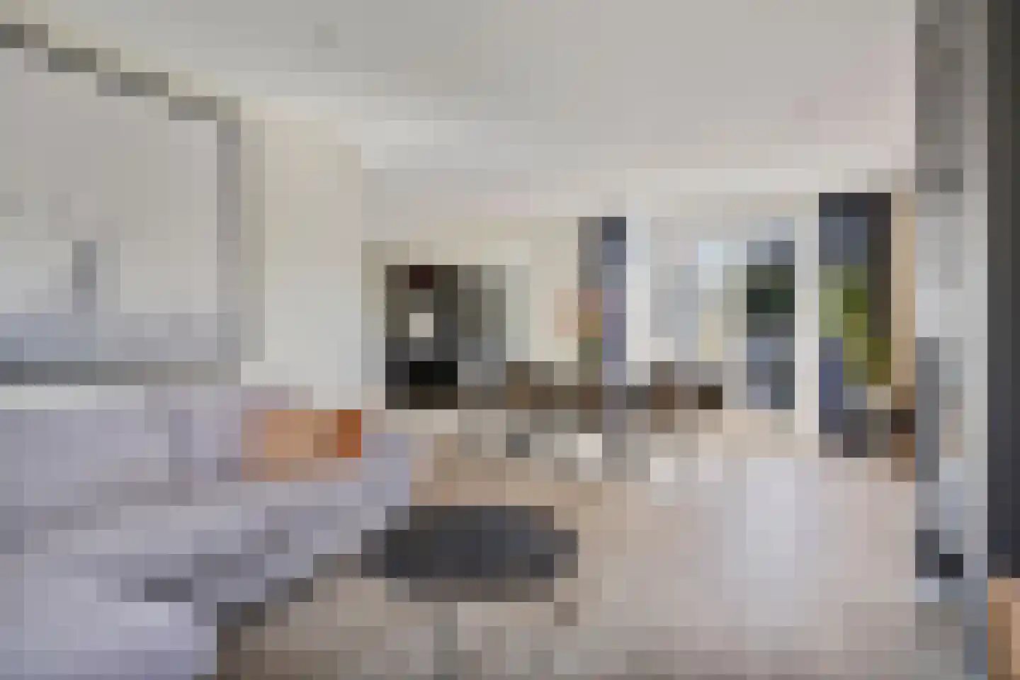 Generaal Maczeklaan 20 Baarle-Nassau thumbnail 15