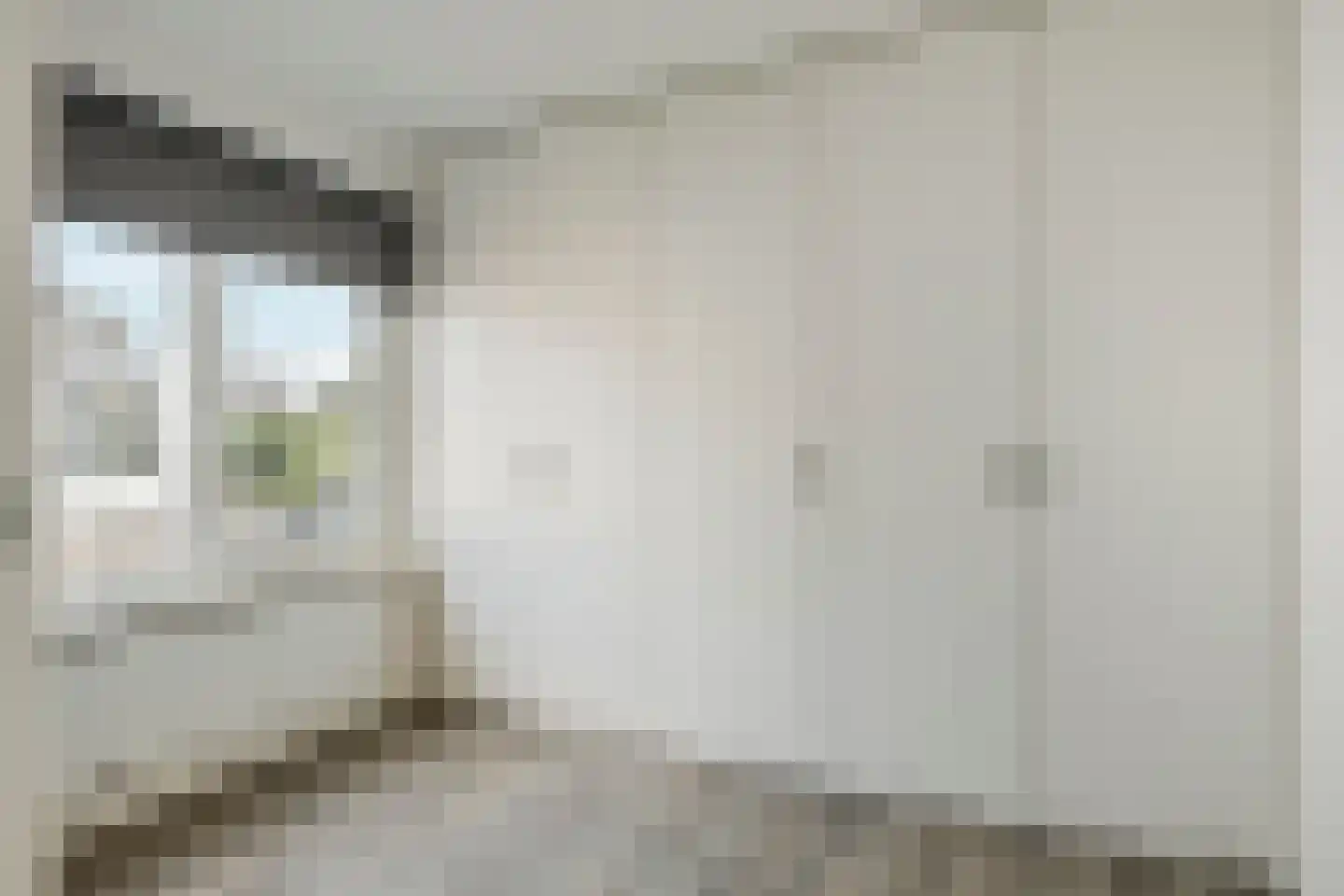 Generaal Maczeklaan 20 Baarle-Nassau thumbnail 30