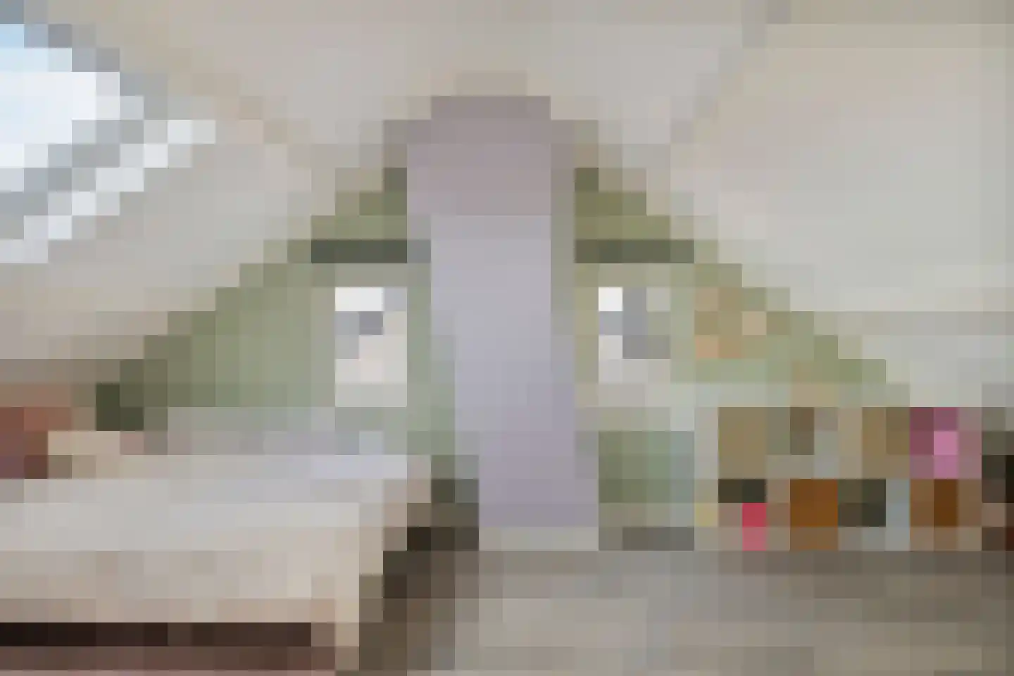 Generaal Maczeklaan 20 Baarle-Nassau thumbnail 35