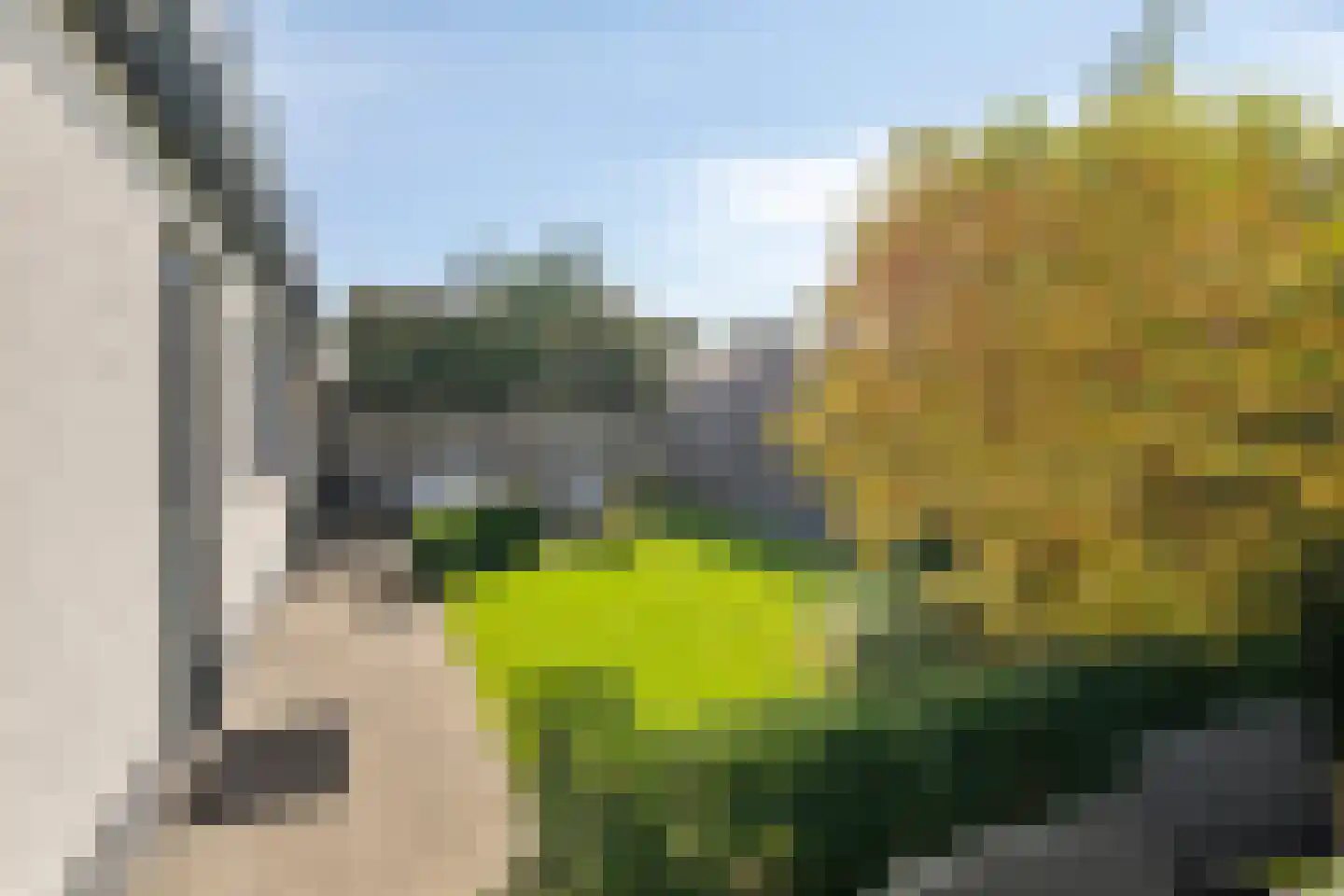 Generaal Maczeklaan 20 Baarle-Nassau thumbnail 37