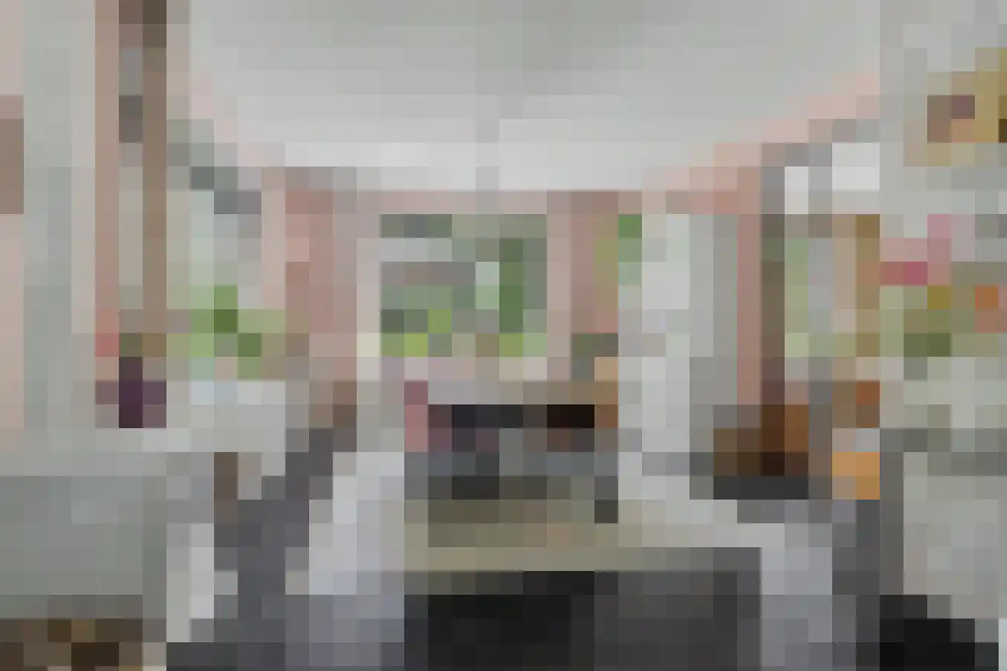 Generaal Maczeklaan 36 Baarle-Nassau thumbnail 22
