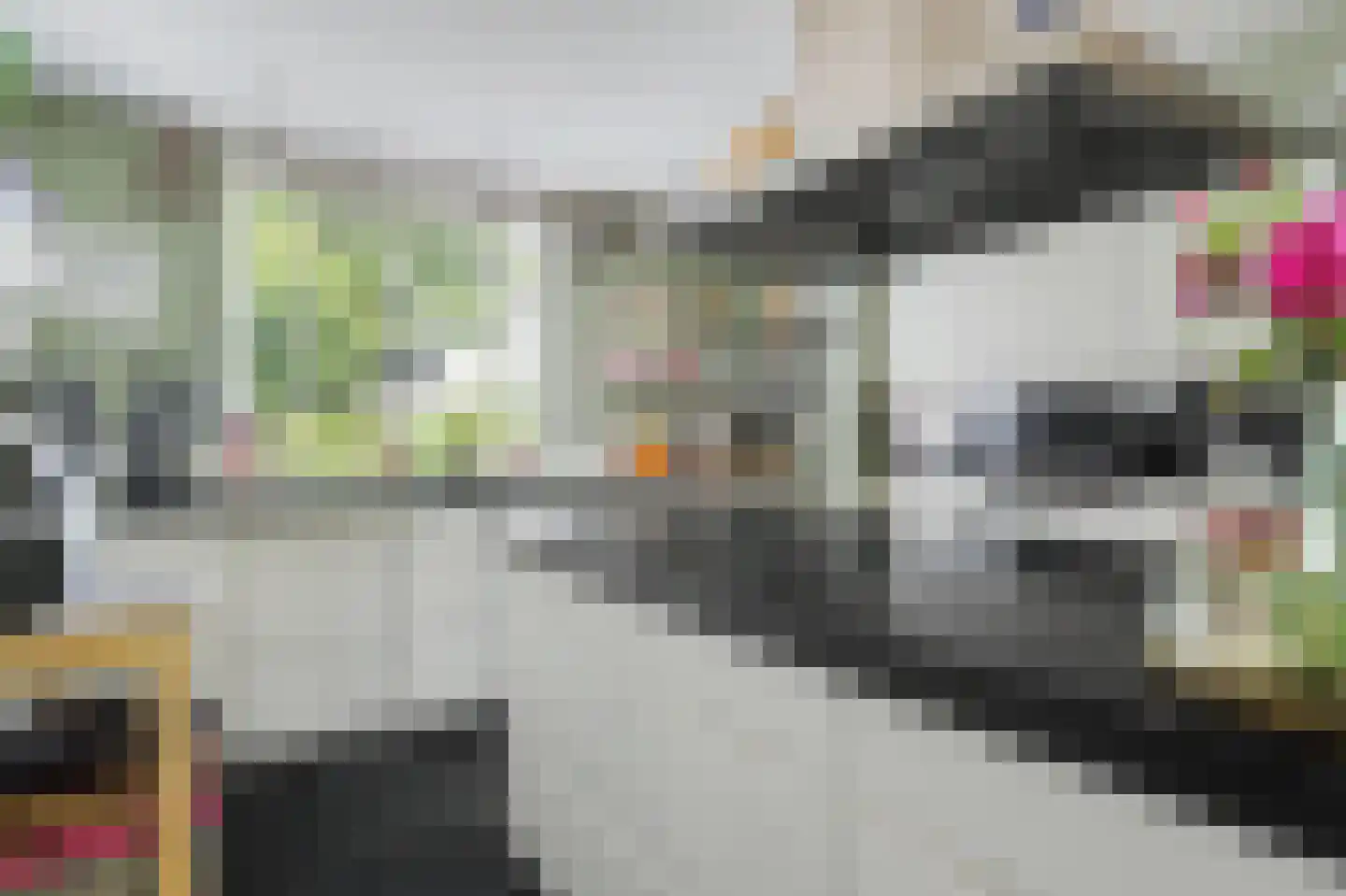 Generaal Maczeklaan 36 Baarle-Nassau thumbnail 31