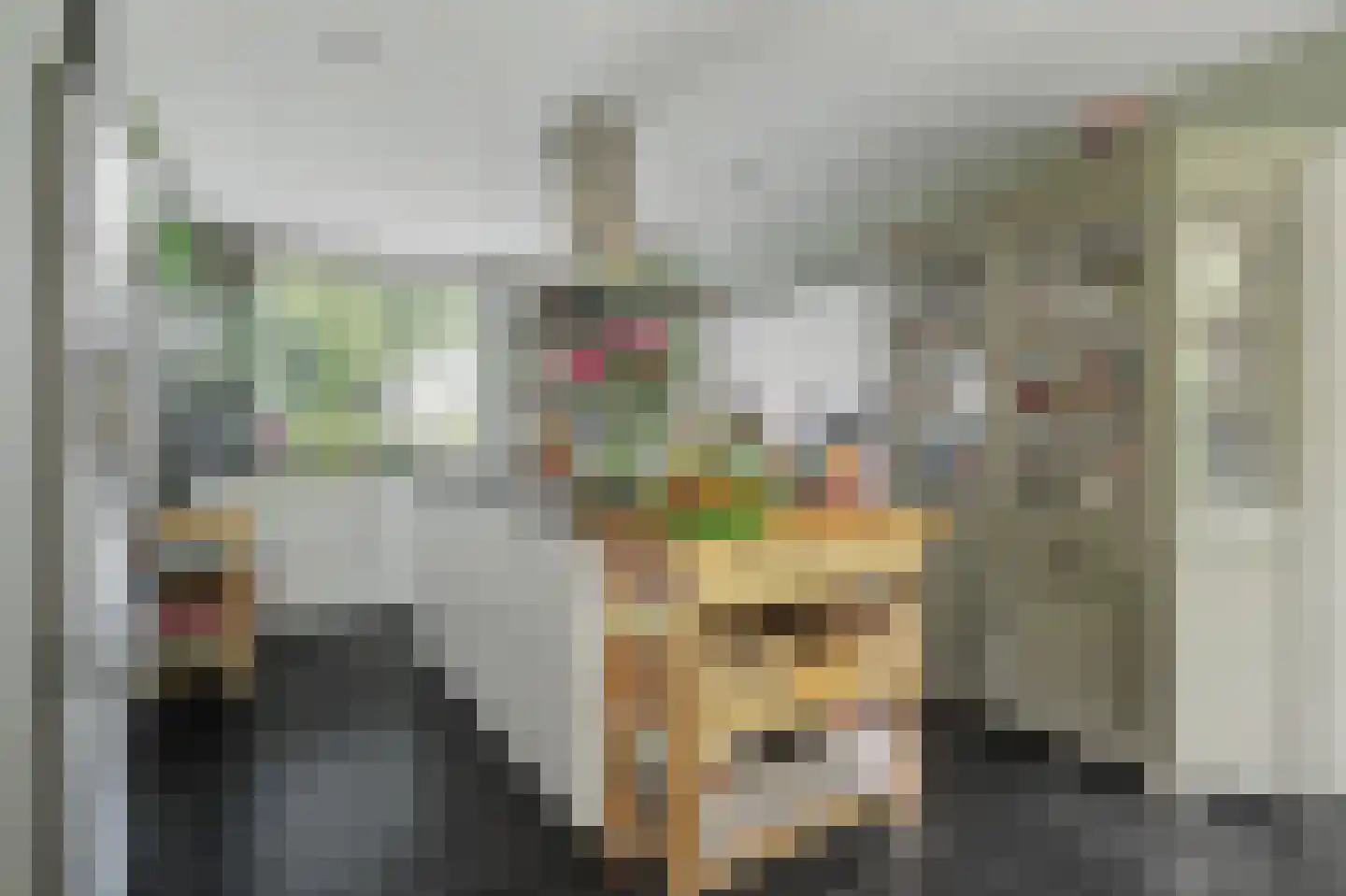 Generaal Maczeklaan 36 Baarle-Nassau thumbnail 4