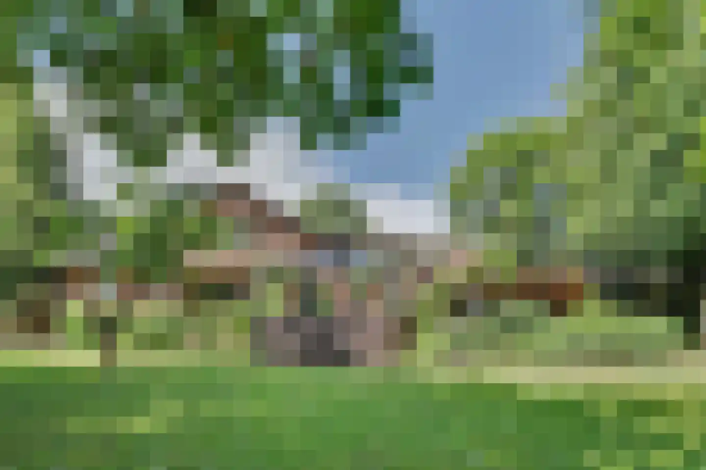 Generaal Maczeklaan 36 Baarle-Nassau thumbnail 71