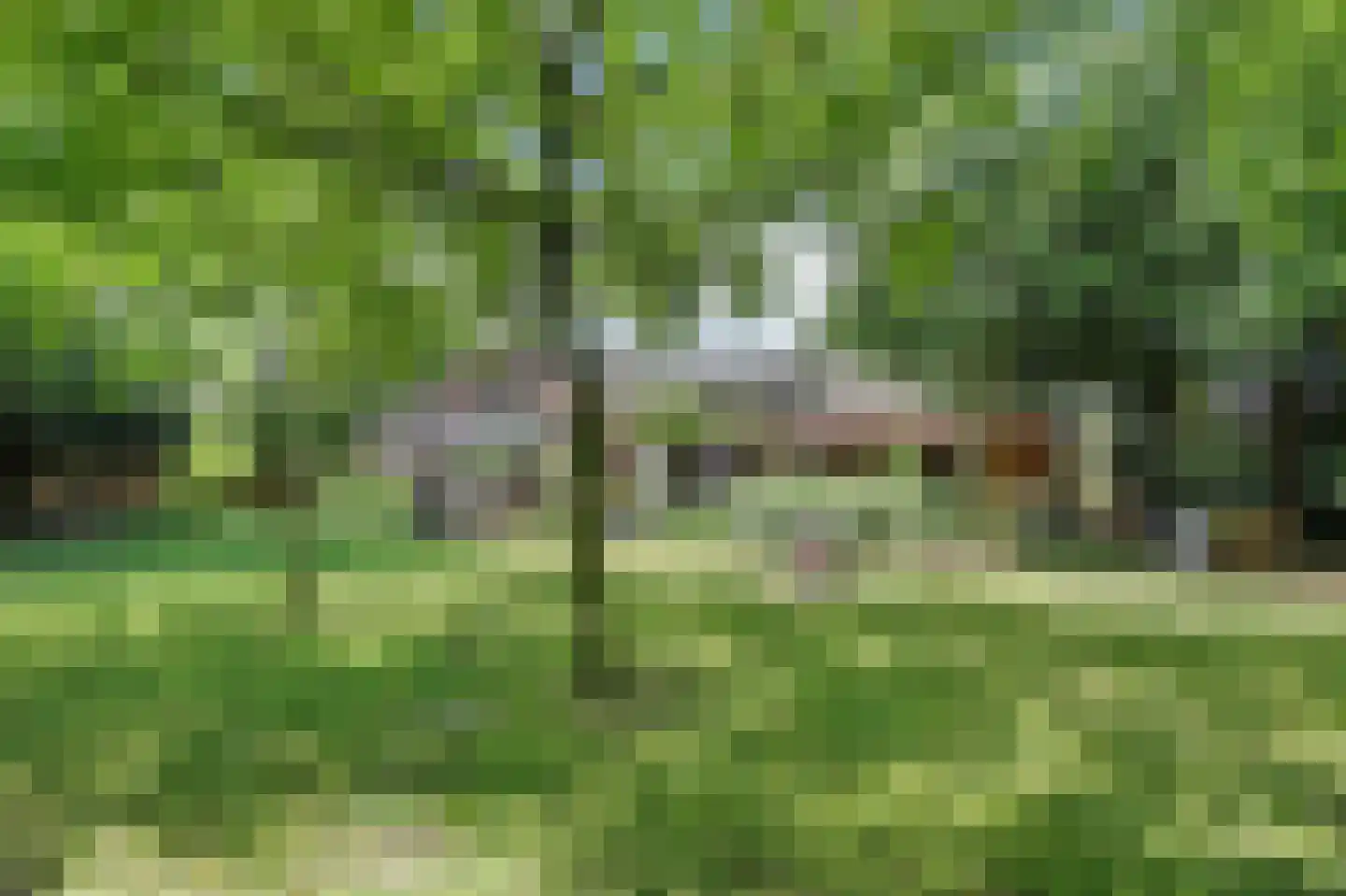 Generaal Maczeklaan 36 Baarle-Nassau thumbnail 72