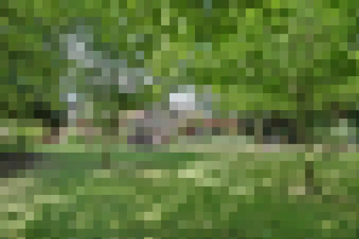Generaal Maczeklaan 36 Baarle-Nassau thumbnail 73