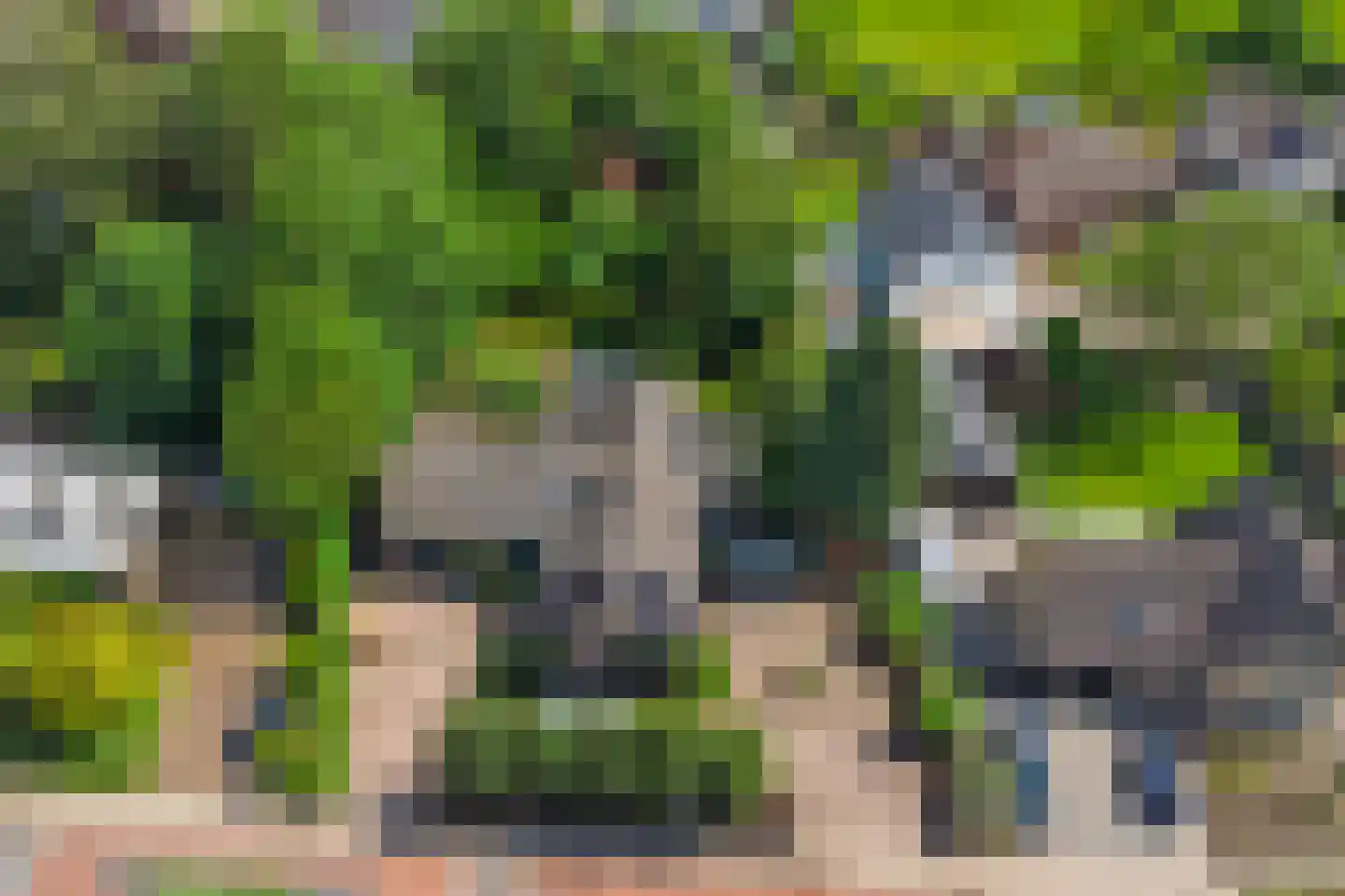 Generaal Maczeklaan 36 Baarle-Nassau thumbnail 83