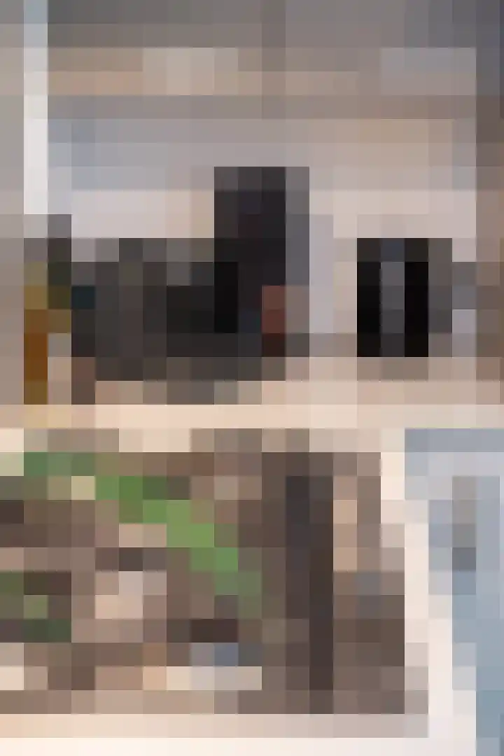 Generaal Maczeklaan 6 Baarle-Nassau thumbnail 13