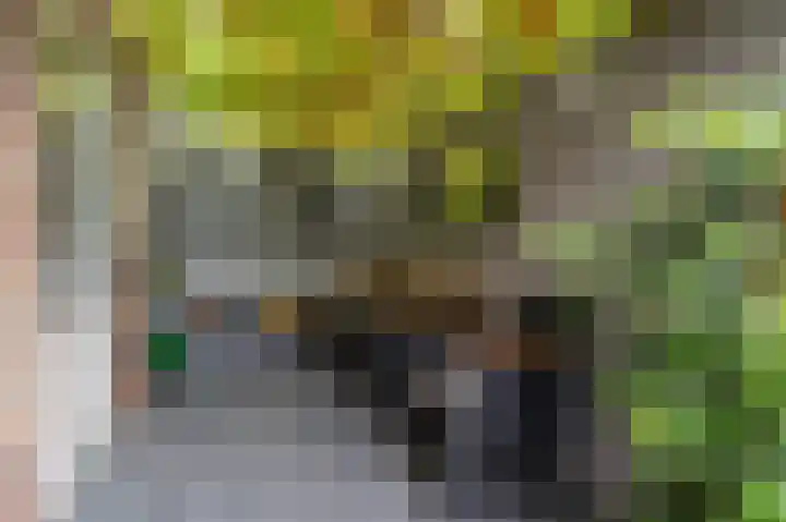 Generaal Maczeklaan 6 Baarle-Nassau thumbnail 31