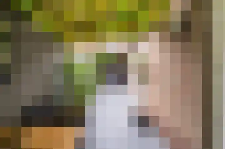 Generaal Maczeklaan 6 Baarle-Nassau thumbnail 32