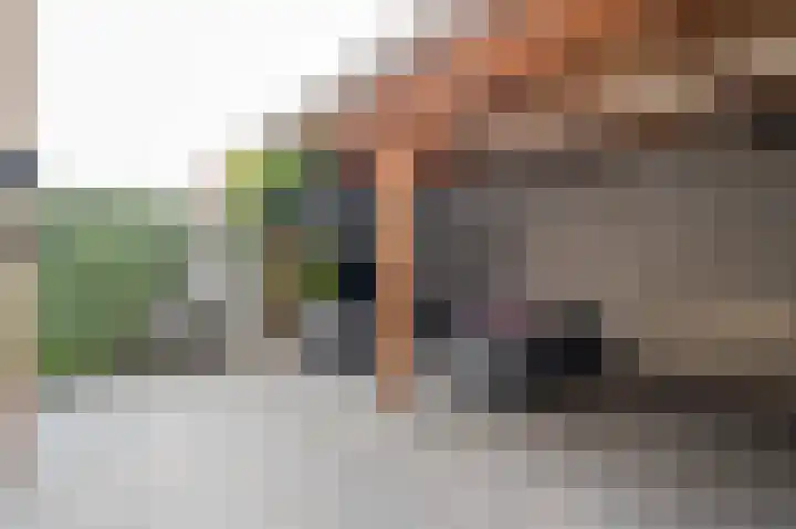 Generaal Maczeklaan 6 Baarle-Nassau thumbnail 33