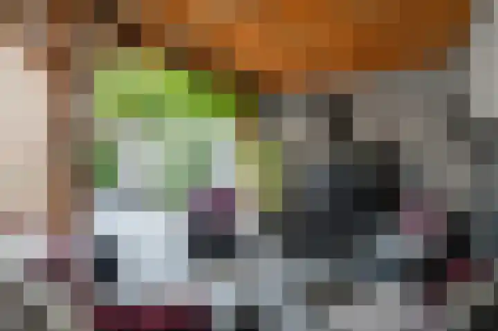 Generaal Maczeklaan 6 Baarle-Nassau thumbnail 34