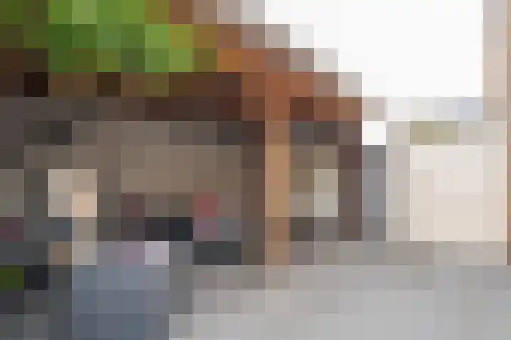 Generaal Maczeklaan 6 Baarle-Nassau thumbnail 35