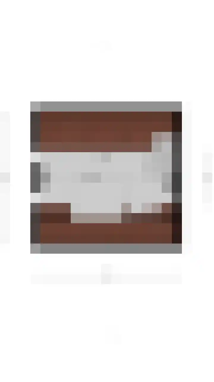 Generaal Maczeklaan 6 Baarle-Nassau thumbnail 43
