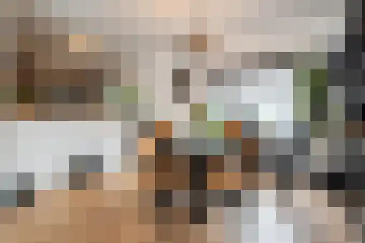 Generaal Maczeklaan 6 Baarle-Nassau thumbnail 9