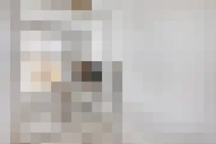 Generaal Maczekstraat 110 Breda thumbnail 17