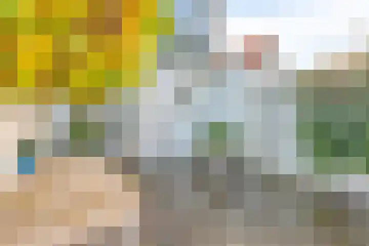 Generaal Maczekstraat 110 Breda thumbnail 30