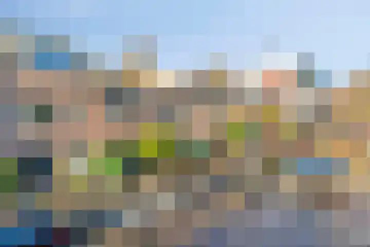 Generaal Maczekstraat 110 Breda thumbnail 33