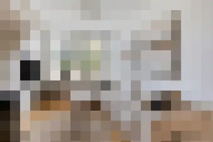 Generaal Maczekstraat 110 Breda thumbnail 7