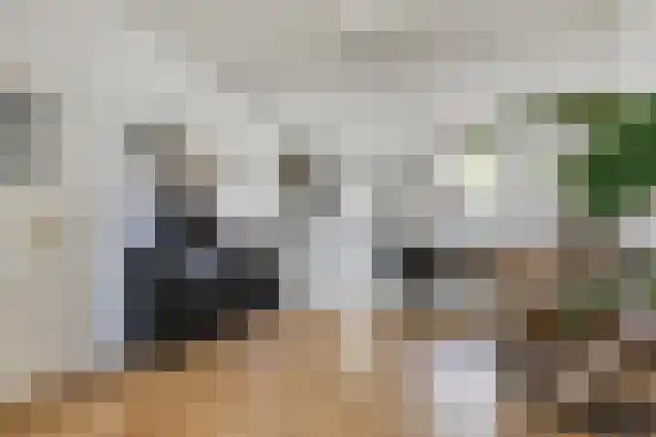 Generaal Maczekstraat 110 Breda thumbnail 9