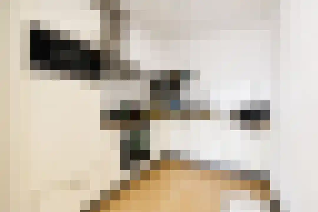 Generaal Maczekstraat 115 Breda thumbnail 6