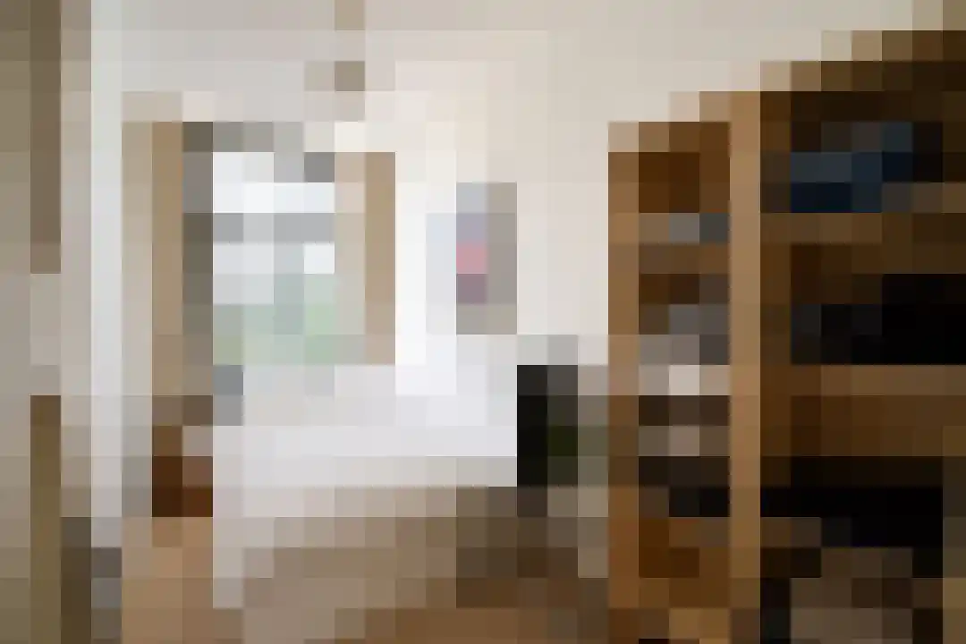 Generaal Maczekstraat 19 Breda thumbnail 5