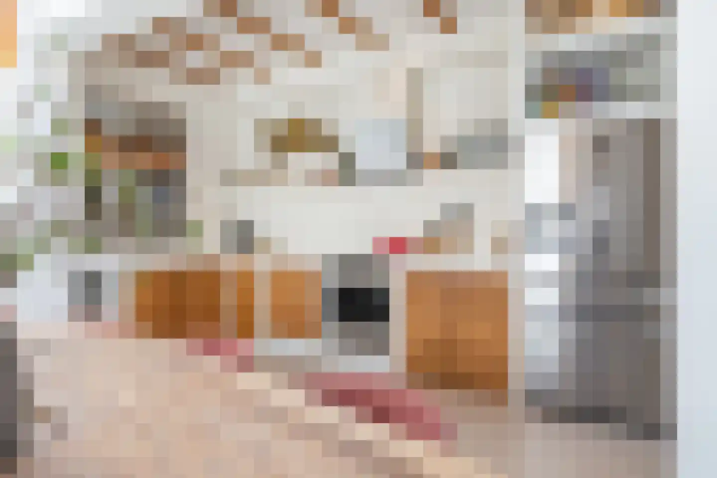 Generaal Maczekstraat 24 Breda thumbnail 16