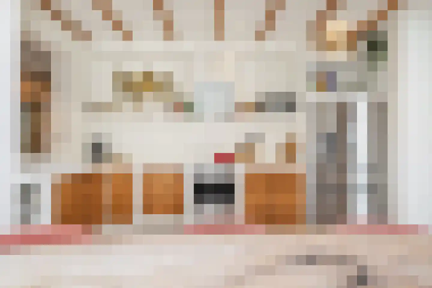 Generaal Maczekstraat 24 Breda thumbnail 18