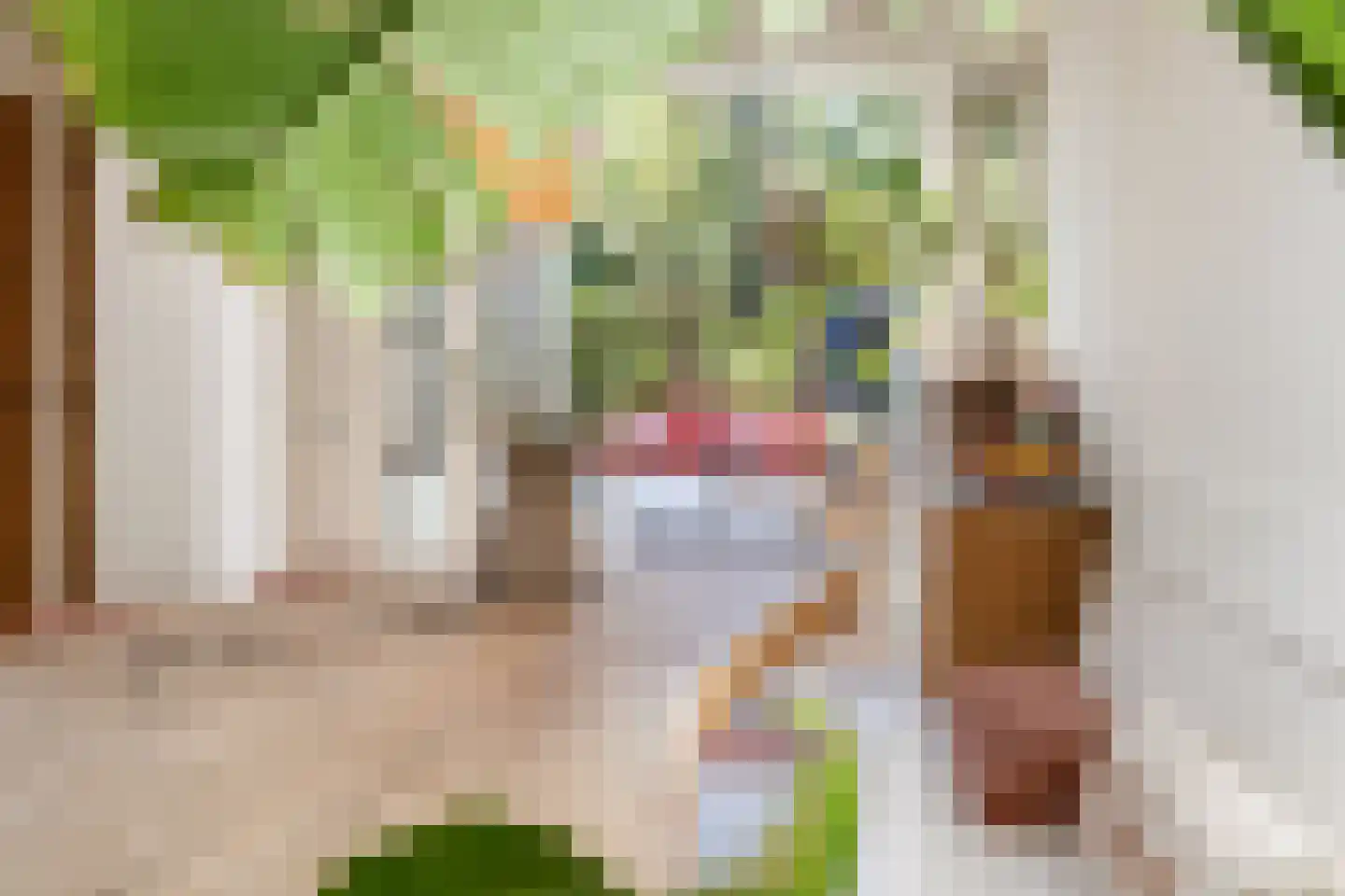 Generaal Maczekstraat 24 Breda thumbnail 19