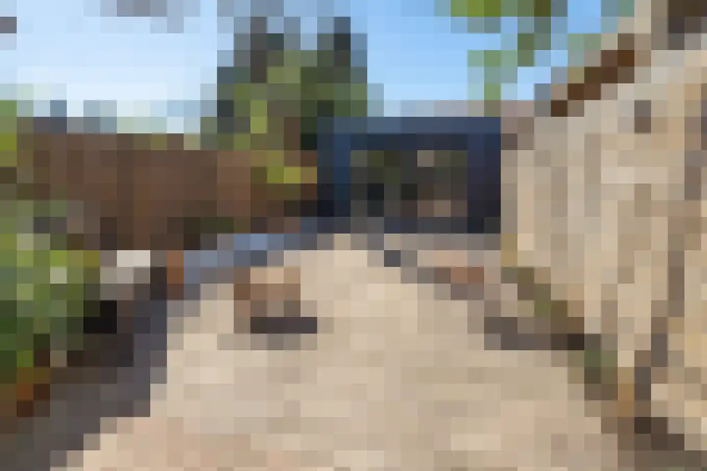 Generaal Maczekstraat 24 Breda thumbnail 38