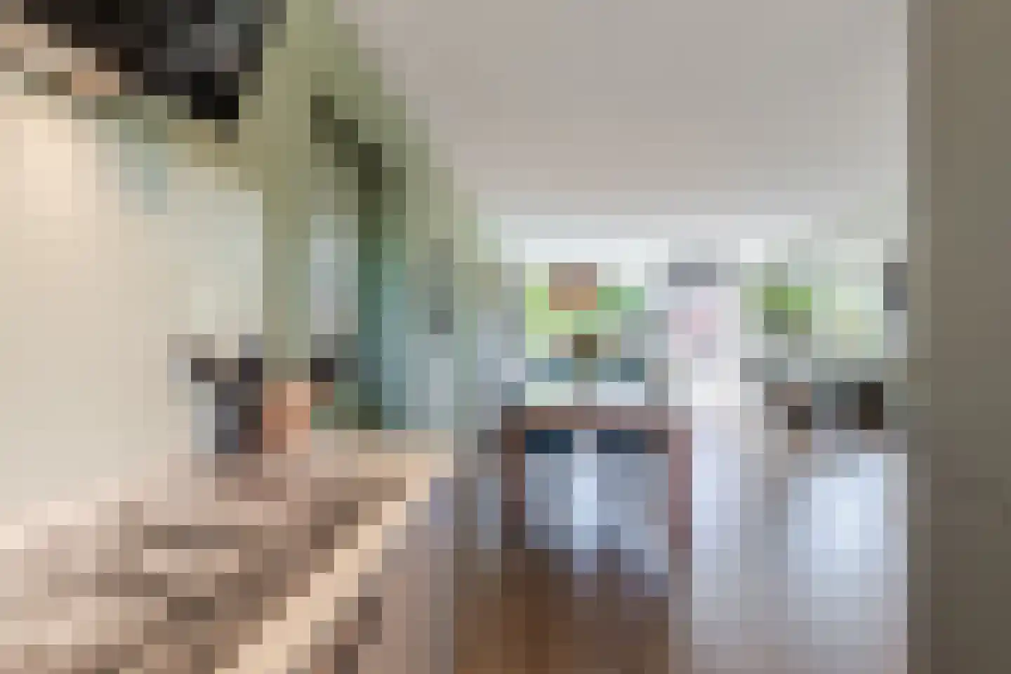 Generaal Maczekstraat 46 Dorst thumbnail 16