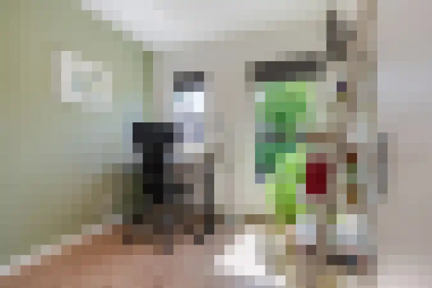 Generaal Maczekstraat 46 Dorst thumbnail 21