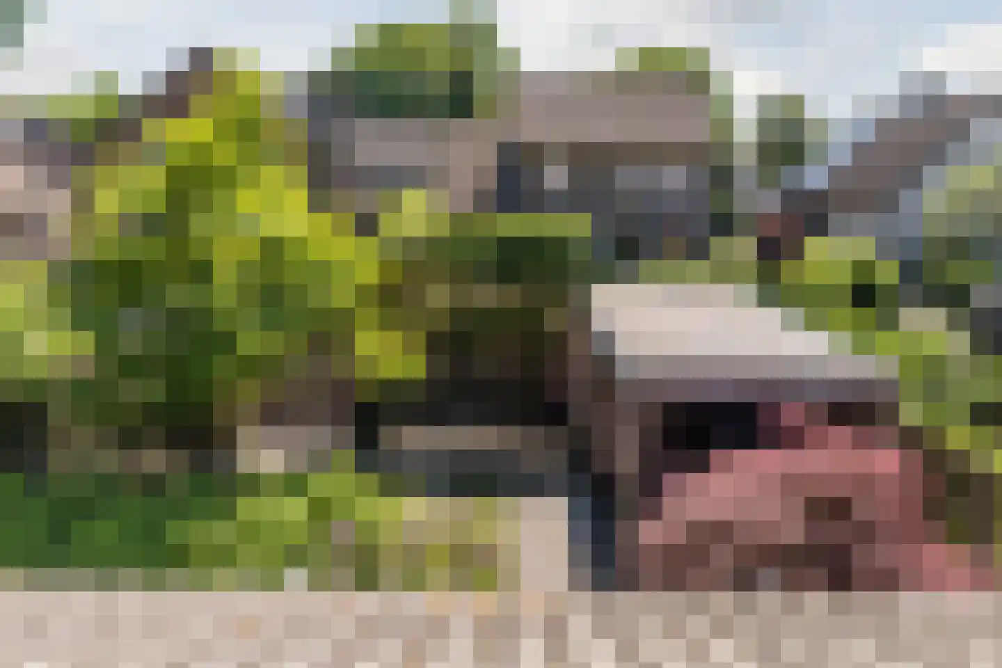 Generaal Maczekstraat 46 Dorst thumbnail 30