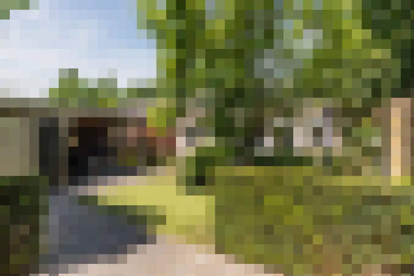 Generaal Maczekstraat 46 Dorst thumbnail 39