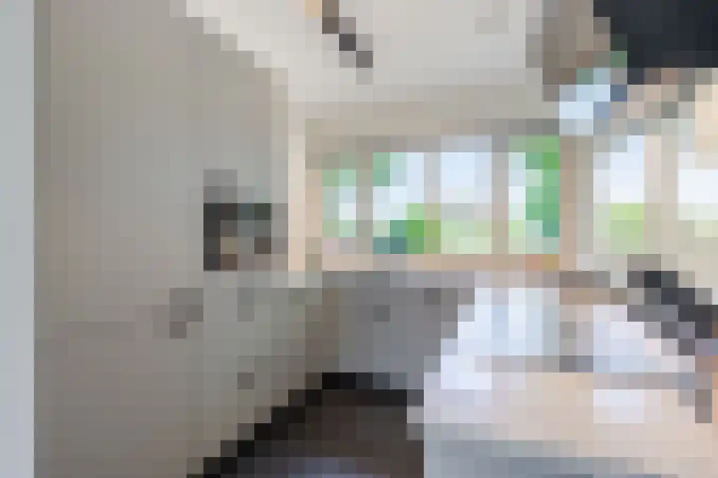 Generaal Maczekstraat 46 Dorst thumbnail 4