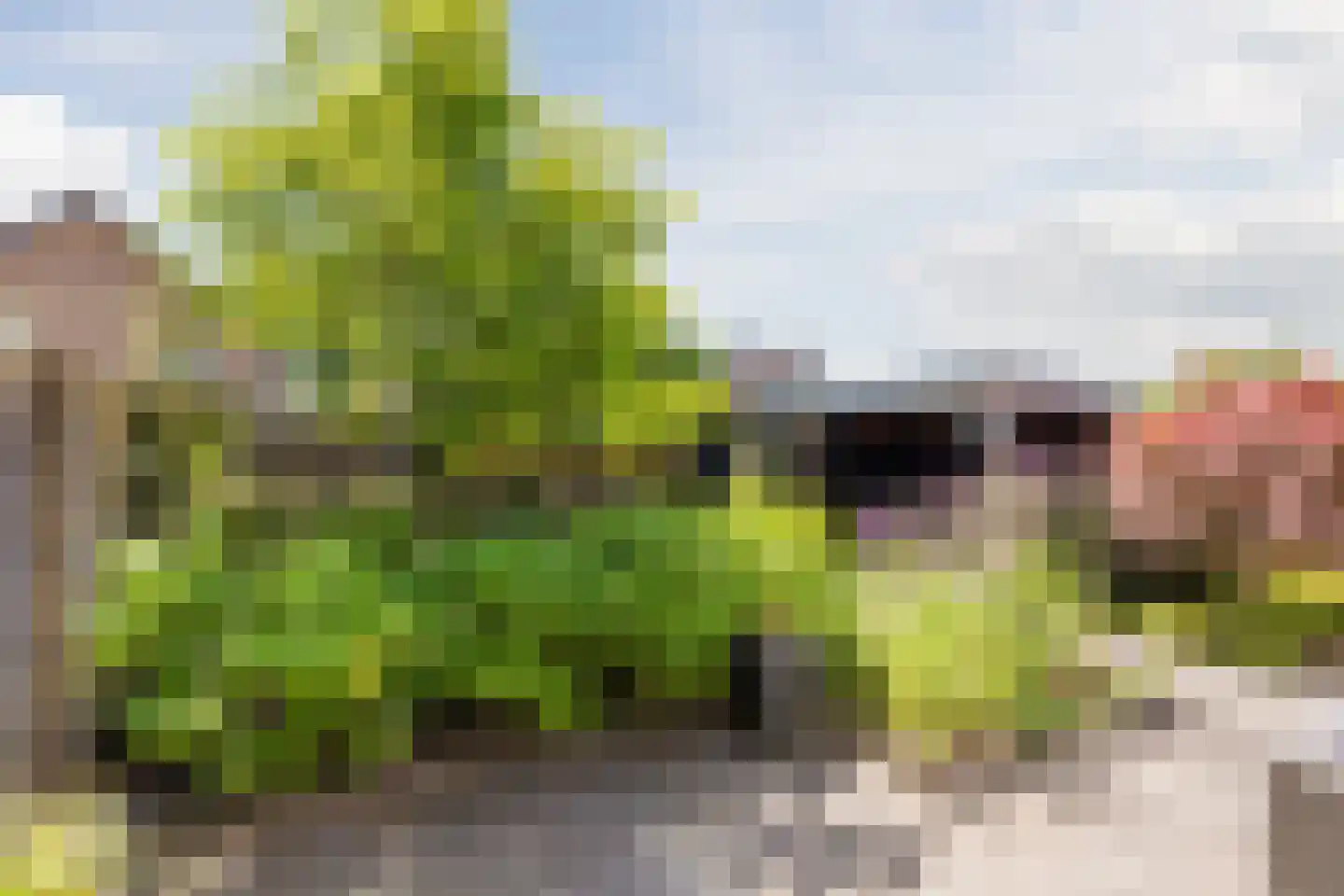 Generaal Maczekstraat 46 Dorst thumbnail 41