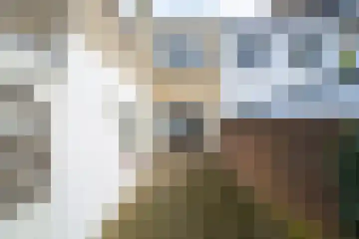 Generaal Maczekstraat 48 Breda thumbnail 25