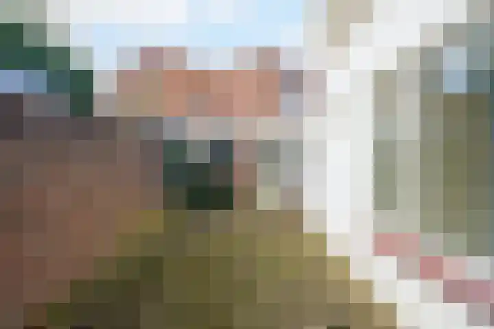 Generaal Maczekstraat 48 Breda thumbnail 5