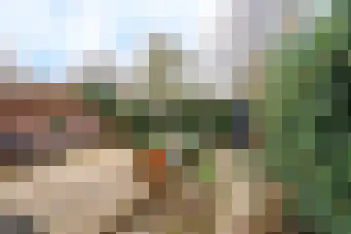 Generaal Maczekstraat 53 Breda thumbnail 34