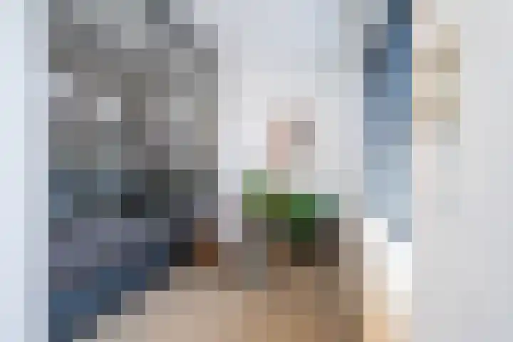 Generaal Maczekstraat 53 Breda thumbnail 4