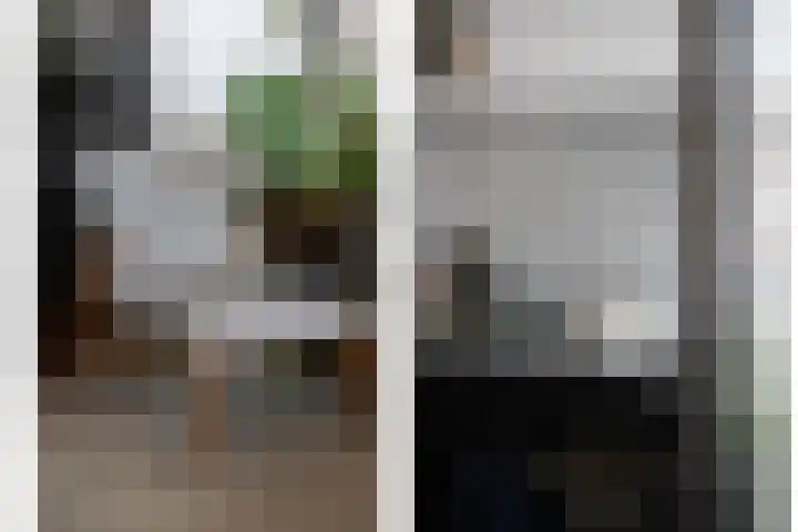 Generaal Maczekstraat 53 Breda thumbnail 5