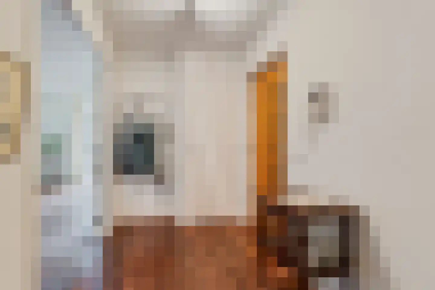 Generaal Maczekstraat 91 Breda thumbnail 11