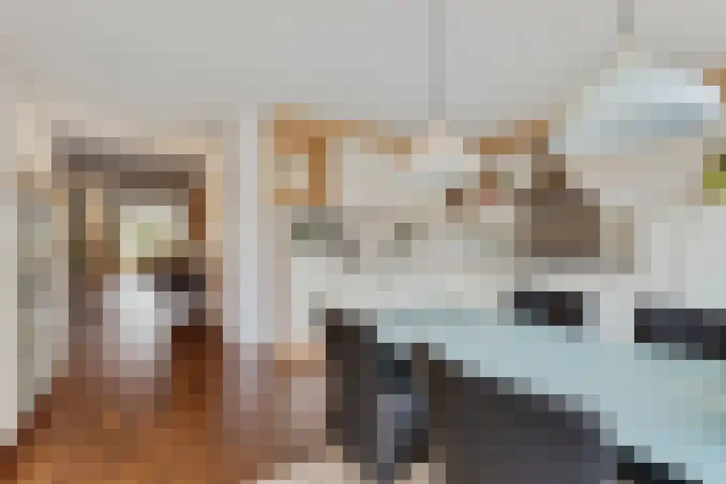Generaal Maczekstraat 91 Breda thumbnail 17