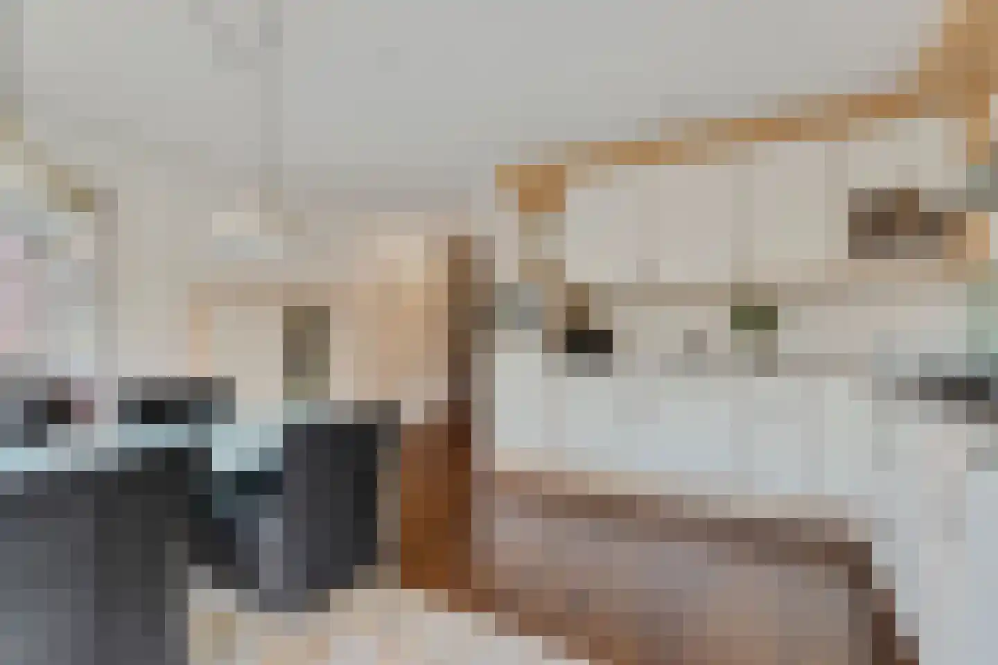 Generaal Maczekstraat 91 Breda thumbnail 18