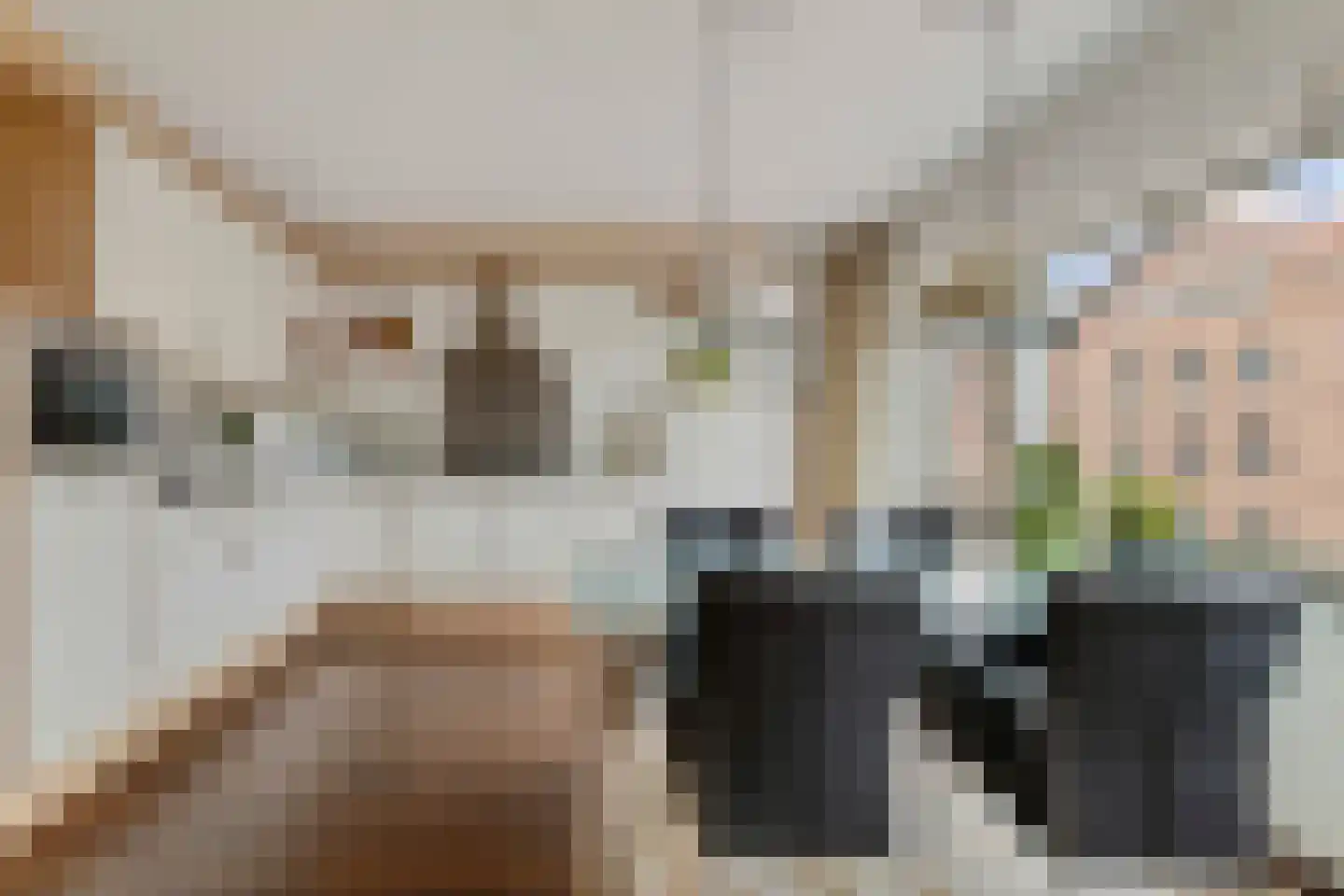 Generaal Maczekstraat 91 Breda thumbnail 19
