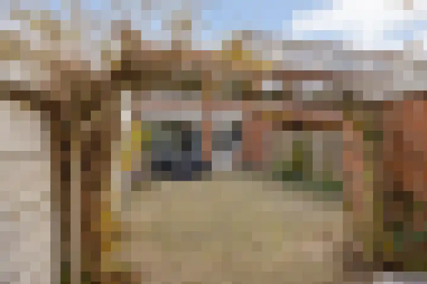 Generaal Marshallweg 63 Eindhoven thumbnail 32