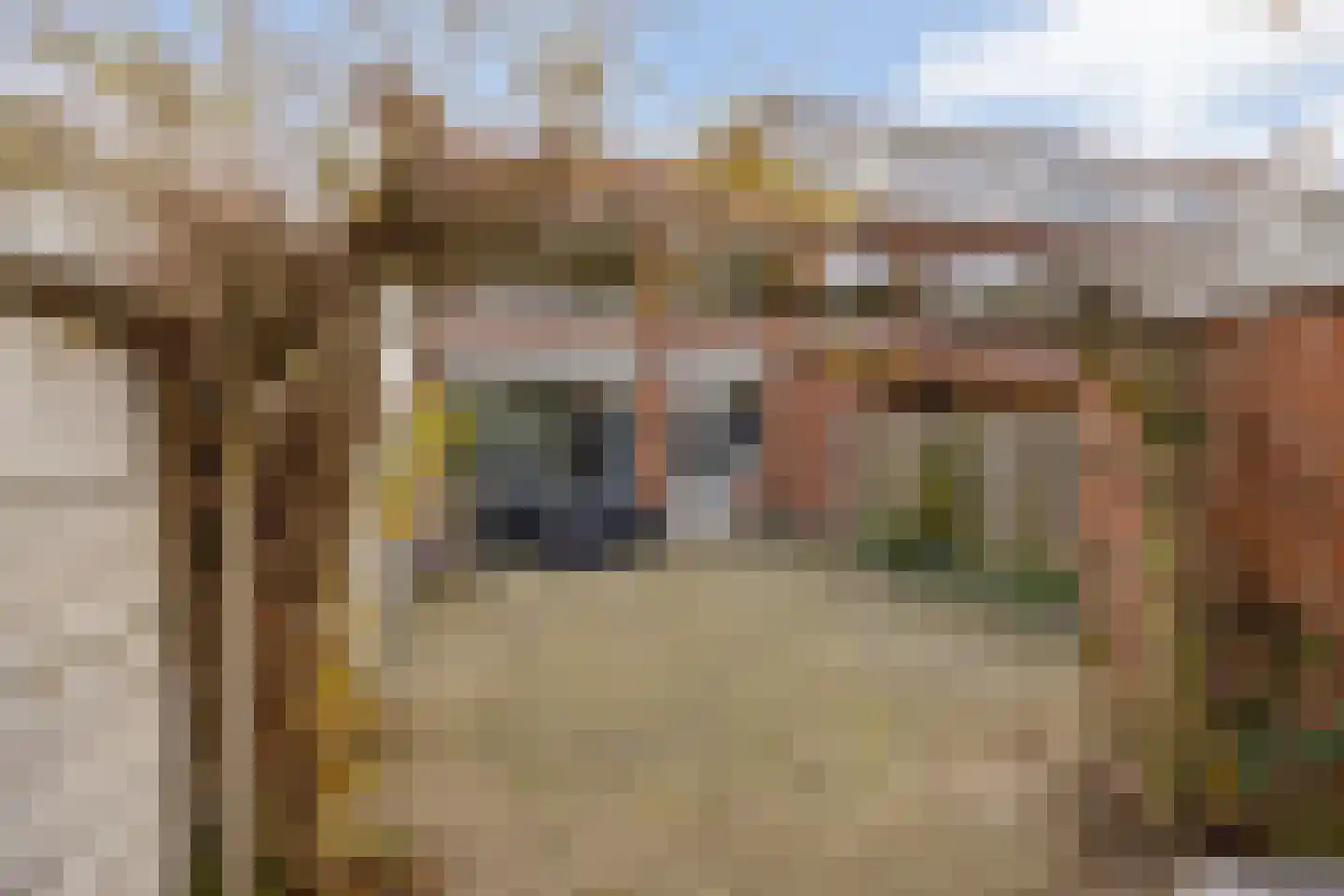 Generaal Marshallweg 63 Eindhoven thumbnail 7